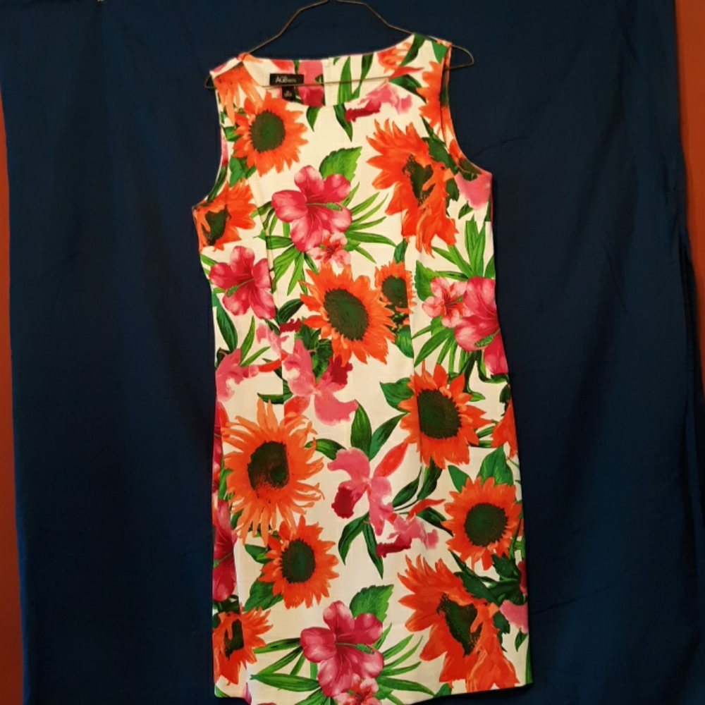 Size 14 Sleeveless AGB Dress